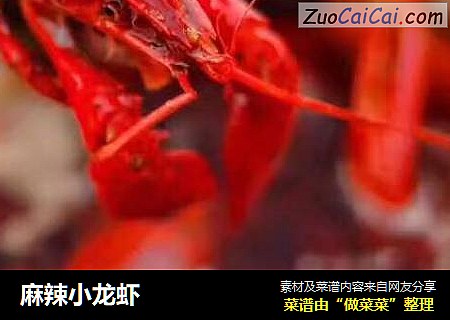 麻辣小龙虾