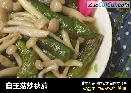 白玉菇炒秋茄