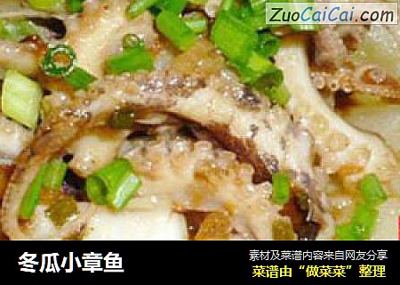 冬瓜小章鱼