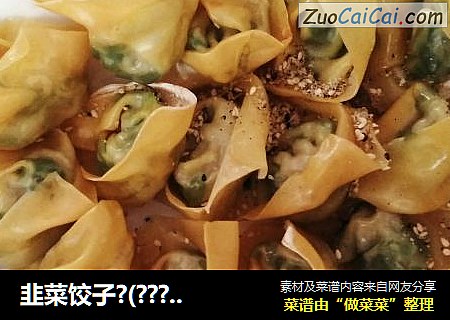 韭菜饺子?(？)？