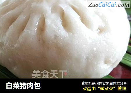 白菜猪肉包