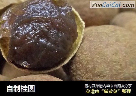 自制桂圆