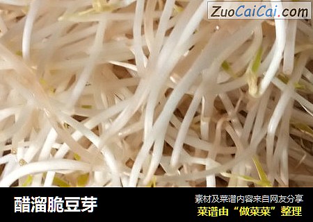 醋溜脆豆芽