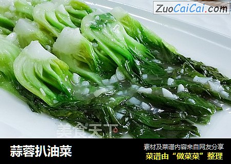 蒜蓉扒油菜