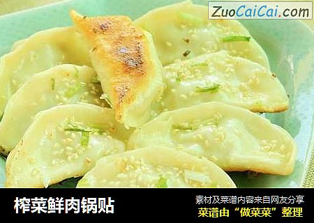 榨菜鲜肉锅贴