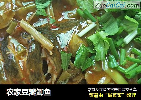 农家豆瓣鲫鱼