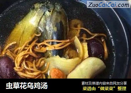 虫草花乌鸡汤