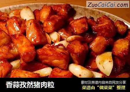 香蒜孜然猪肉粒