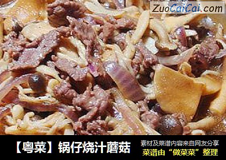 【粤菜】锅仔烧汁蘑菇