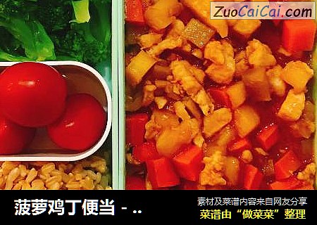 菠萝鸡丁便当 - 减脂便当