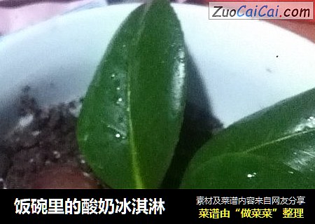 饭碗里的酸奶冰淇淋
