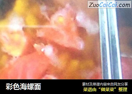 彩色海螺面
