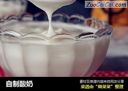 自制酸奶