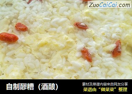 自制醪糟(酒酿)