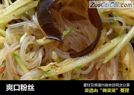 爽口粉丝
