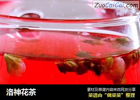洛神花茶