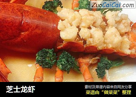 芝士龙虾