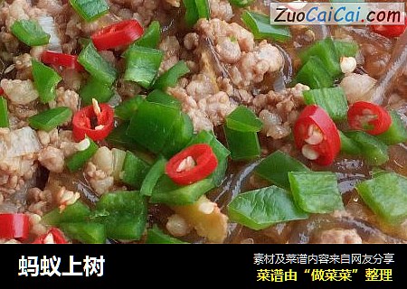 蚂蚁上树