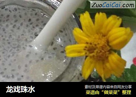 龙戏珠水