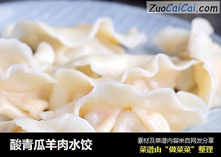 酸青瓜羊肉水饺