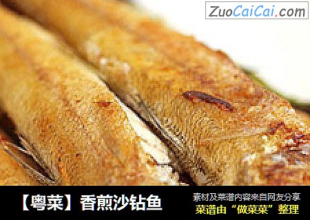 【粤菜】香煎沙钻鱼