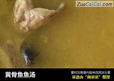 黄骨鱼鱼汤