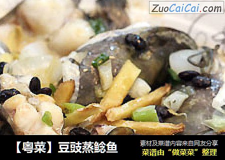 【粤菜】豆豉蒸鲶鱼