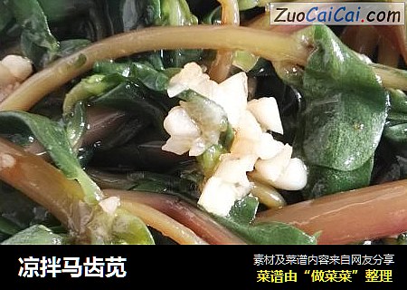 凉拌马齿苋