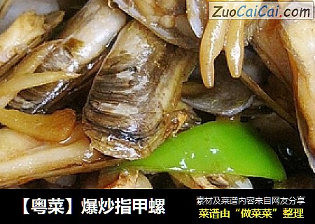【粤菜】爆炒指甲螺
