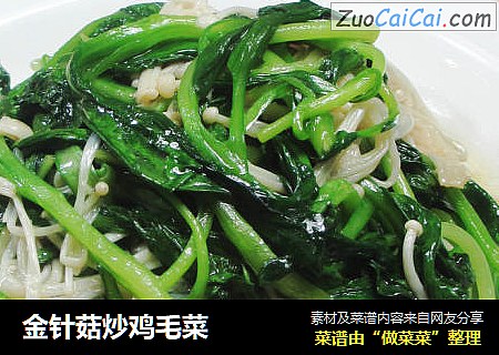 金针菇炒鸡毛菜