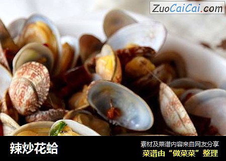 辣炒花蛤