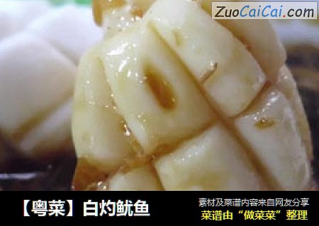 【粤菜】白灼鱿鱼
