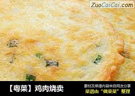 【粤菜】鸡肉烧卖
