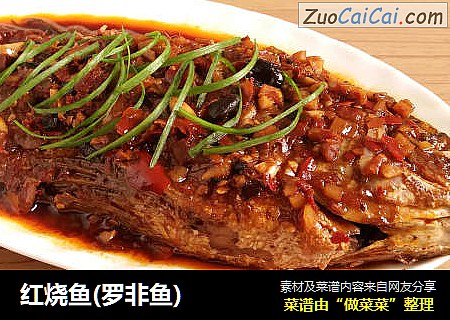 红烧鱼(罗非鱼)