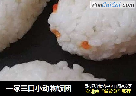 一家三口小动物饭团