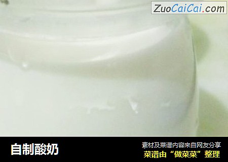 自制酸奶