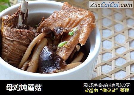 母鸡炖蘑菇