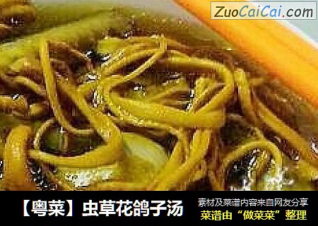 【粤菜】虫草花鸽子汤