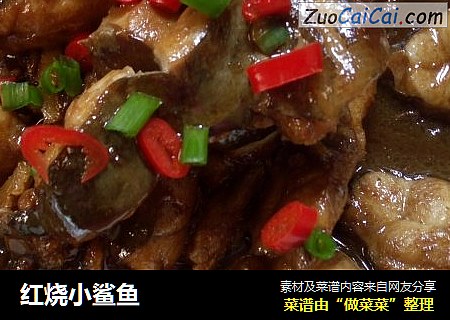 红烧小鲨鱼