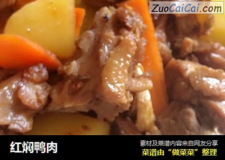 红焖鸭肉