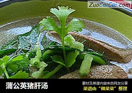 蒲公英猪肝汤