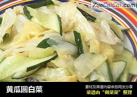 黄瓜圆白菜