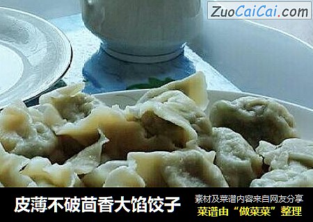 皮薄不破茴香大馅饺子