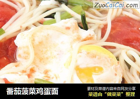 番茄菠菜鸡蛋面