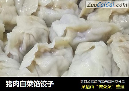 猪肉白菜馅饺子