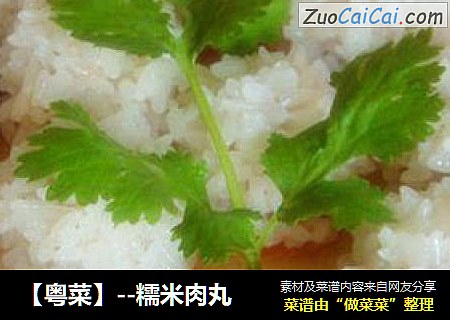 【粤菜】--糯米肉丸
