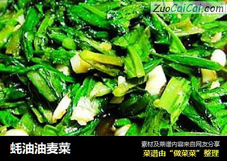 蚝油油麦菜