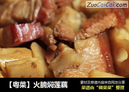 【粤菜】火腩焖莲藕