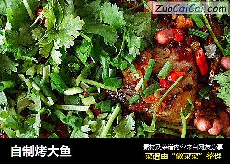 自制烤大鱼