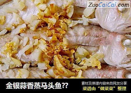 金银蒜香蒸马头鱼??